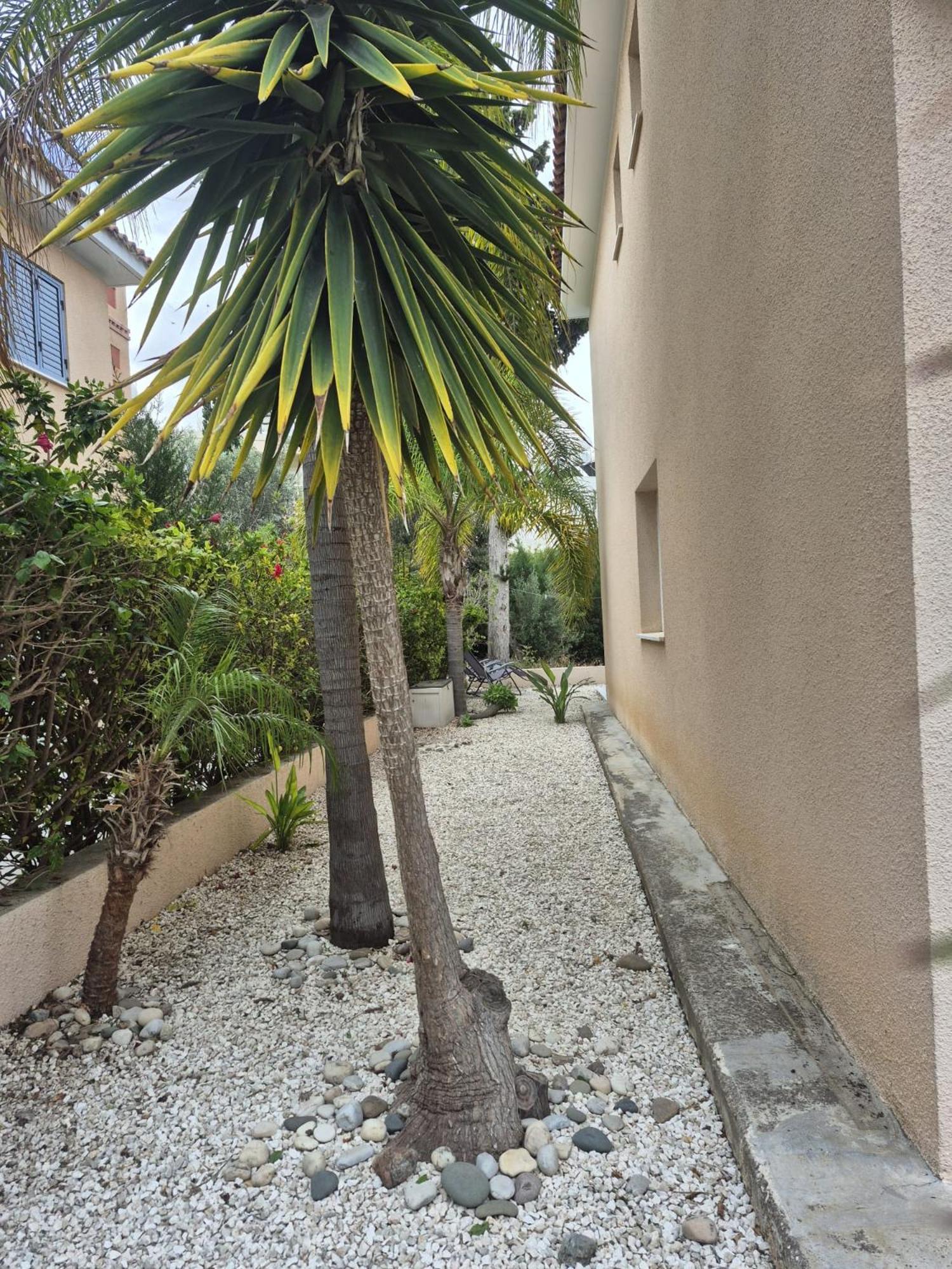Casa Del Sol Townhouse In Iris Village * Paphos